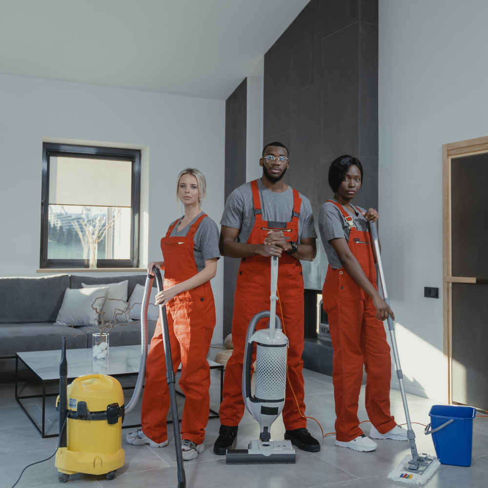 Professional Service Workers