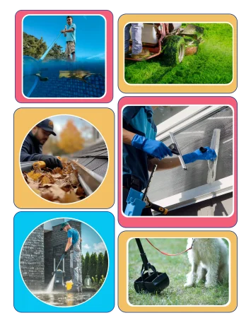 the-service-pilot-window-cleaning